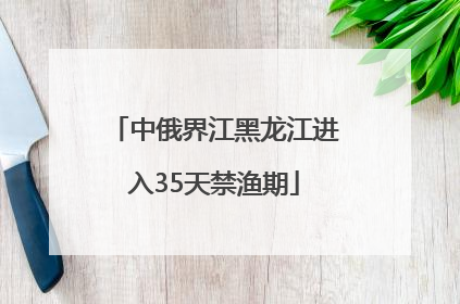 中俄界江黑龙江进入35天禁渔期