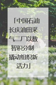 中国石油长庆油田采气二厂以数智积分制 撬动组织新活力