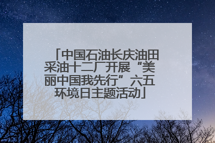 中国石油长庆油田采油十二厂开展“美丽中国我先行”六五环境日主题活动
