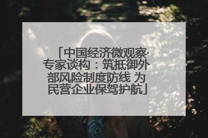 中国经济微观察·专家谈构：筑抵御外部风险制度防线 为民营企业保驾护航