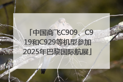 中国商飞C909、C919和C929等机型参加2025年巴黎国际航展