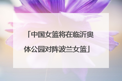 中国女篮将在临沂奥体公园对阵波兰女篮