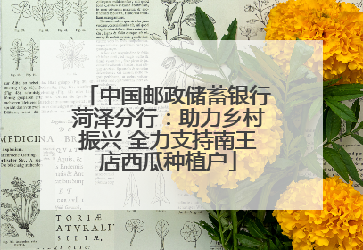 中国邮政储蓄银行菏泽分行：助力乡村振兴 全力支持南王店西瓜种植户