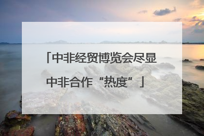 中非经贸博览会尽显中非合作“热度”