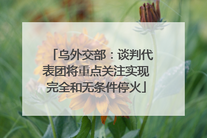 乌外交部：谈判代表团将重点关注实现完全和无条件停火