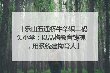 乐山五通桥牛华镇二码头小学：以品格教育铸魂，用系统建构育人