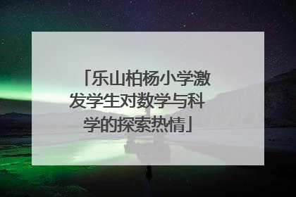 乐山柏杨小学激发学生对数学与科学的探索热情