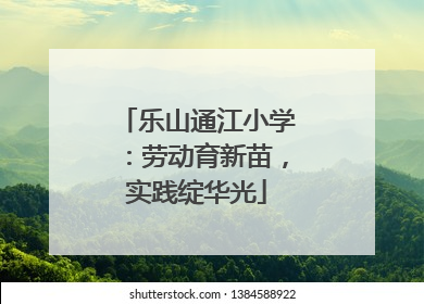 乐山通江小学：劳动育新苗，实践绽华光