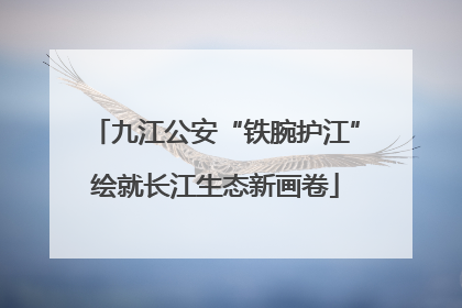 九江公安“铁腕护江”绘就长江生态新画卷