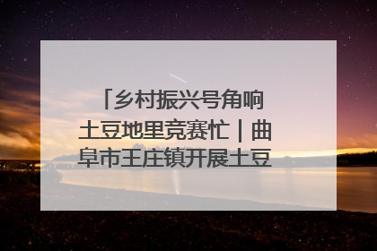 乡村振兴号角响 土豆地里竞赛忙｜曲阜市王庄镇开展土豆收获劳动竞赛