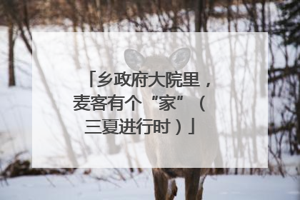 乡政府大院里，麦客有个“家”（三夏进行时）