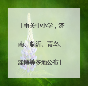事关中小学，济南、临沂、青岛、淄博等多地公布