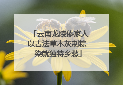 云南龙陵傣家人以古法草木灰制粽 染就独特乡愁