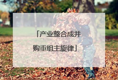 产业整合成并购重组主旋律