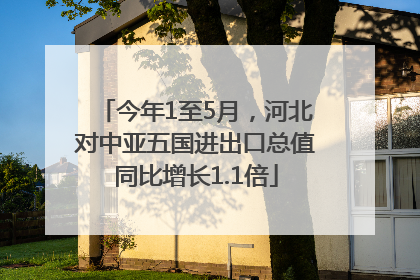 今年1至5月，河北对中亚五国进出口总值同比增长1.1倍