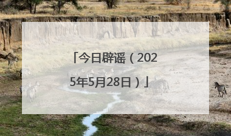 今日辟谣（2025年5月28日）