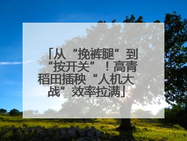 从“挽裤腿”到“按开关”！高青稻田插秧“人机大战”效率拉满