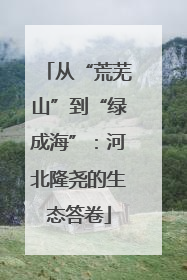 从“荒芜山”到“绿成海”：河北隆尧的生态答卷