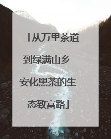 从万里茶道到绿满山乡 安化黑茶的生态致富路
