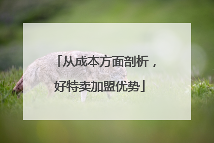 从成本方面剖析，好特卖加盟优势