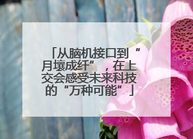 从脑机接口到“月壤成纤”，在上交会感受未来科技的“万种可能”