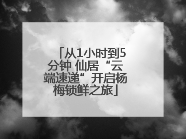 从1小时到5分钟 仙居“云端速递”开启杨梅锁鲜之旅