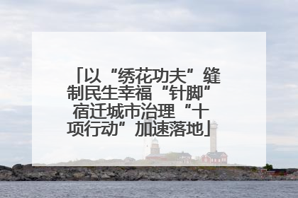 以“绣花功夫”缝制民生幸福“针脚” 宿迁城市治理“十项行动”加速落地