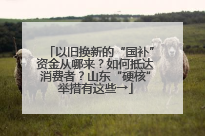 以旧换新的“国补”资金从哪来？如何抵达消费者？山东“硬核”举措有这些→