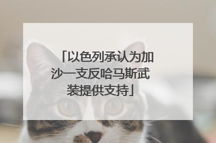 以色列承认为加沙一支反哈马斯武装提供支持