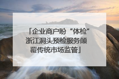 企业商户盼“体检” 浙江洞头预检服务颠覆传统市场监管