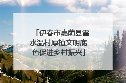 伊春市嘉荫县雪水温村厚植文明底色促进乡村振兴