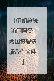伊朗总统访问阿曼 两国签署多项合作文件
