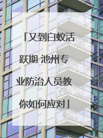 又到白蚁活跃期 池州专业防治人员教你如何应对
