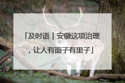 及时语｜安徽这项治理，让人有面子有里子