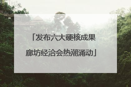 发布六大硬核成果 廊坊经洽会热潮涌动