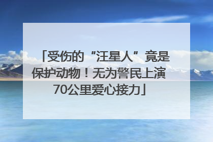 受伤的“汪星人”竟是保护动物！无为警民上演70公里爱心接力