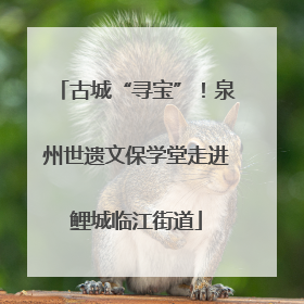 古城“寻宝”！泉州世遗文保学堂走进鲤城临江街道