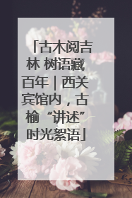 古木阅吉林 树语藏百年｜西关宾馆内，古榆“讲述”时光絮语