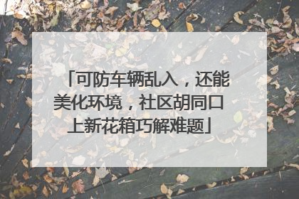 可防车辆乱入，还能美化环境，社区胡同口上新花箱巧解难题