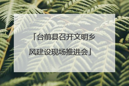 台前县召开文明乡风建设现场推进会