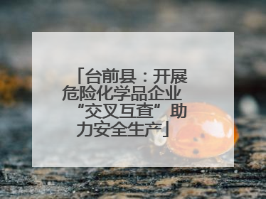 台前县：开展危险化学品企业“交叉互查”助力安全生产