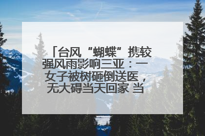 台风“蝴蝶”携较强风雨影响三亚：一女子被树砸倒送医，无大碍当天回家 当地已紧急清障