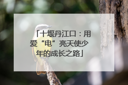 十堰丹江口：用爱“电”亮天使少年的成长之路