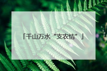 千山万水“支农情”