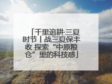 千里追耕·三夏时节丨战三夏保丰收 探索“中原粮仓”里的科技感