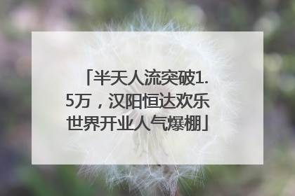 半天人流突破1.5万，汉阳恒达欢乐世界开业人气爆棚