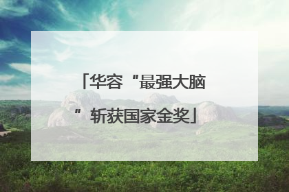 华容“最强大脑”斩获国家金奖