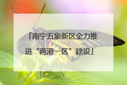 南宁五象新区全力推进“两港一区”建设
