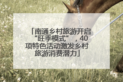 南通乡村旅游开启“旺季模式”，40项特色活动激发乡村旅游消费潜力
