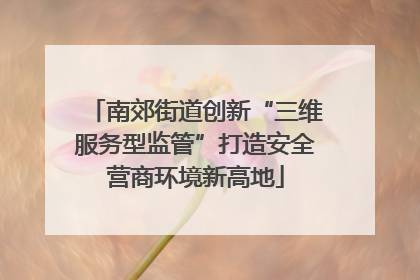 南郊街道创新“三维服务型监管”打造安全营商环境新高地